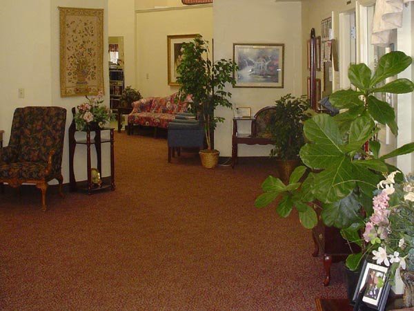 A view of a lobby with decorative plants and comfortable seating arrangements.
