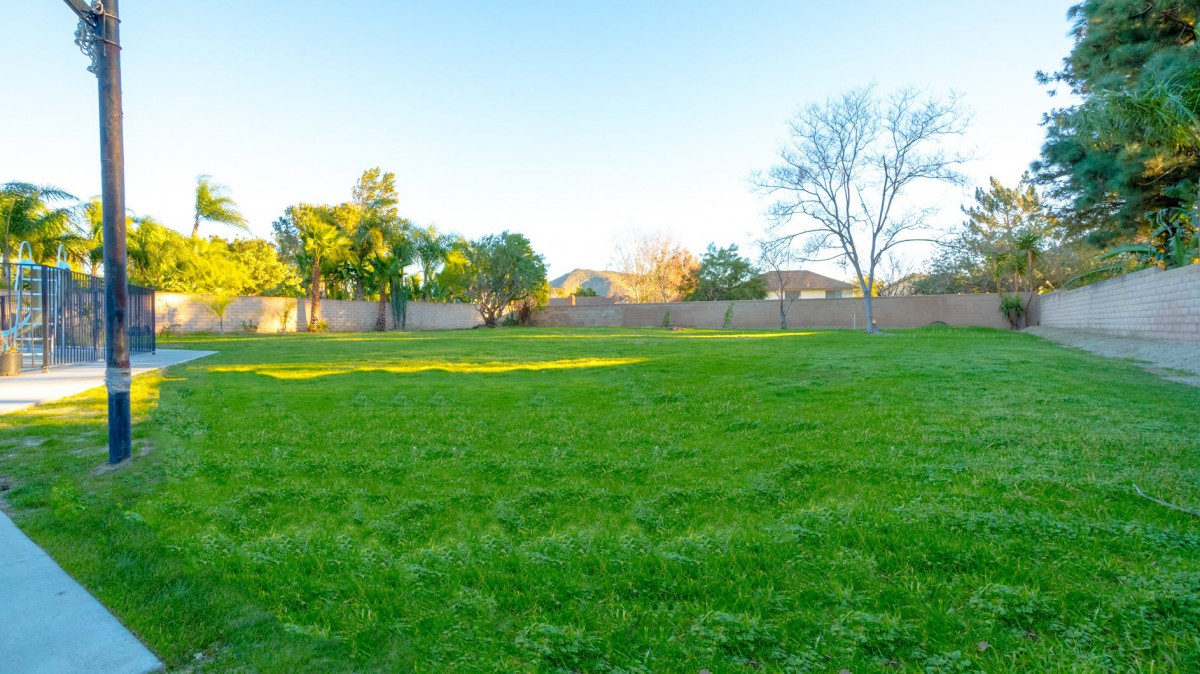A sunny day in a lush green field surrounded by trees and a fence.