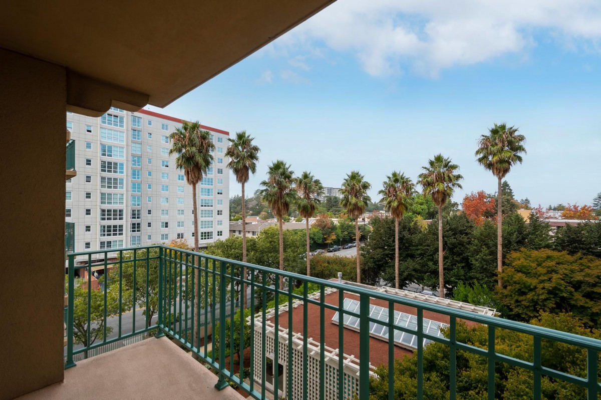 View from a balcony overlooking palm trees and city buildings.