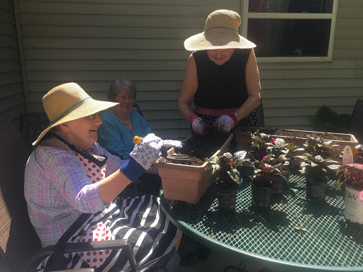 A cheerful gardening session with friends enjoying the sunshine.