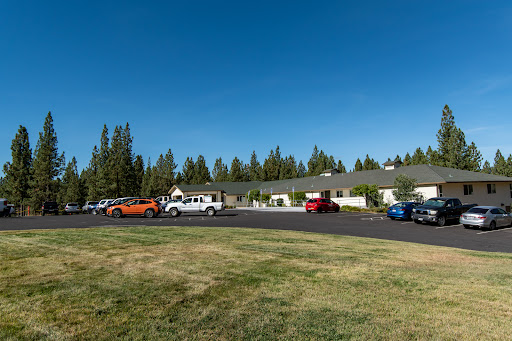 A view of a building surrounded by a parking lot filled with cars, set against a backdrop of trees and a clear blue sky.