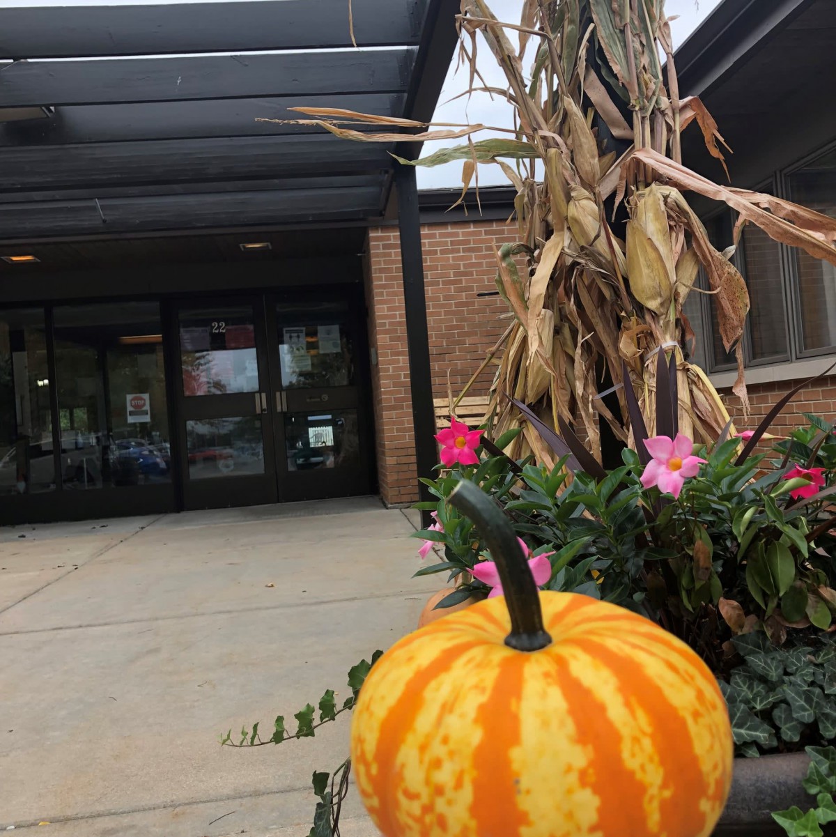 An autumn-themed entrance decorated with a pumpkin, corn stalks, and flowers.