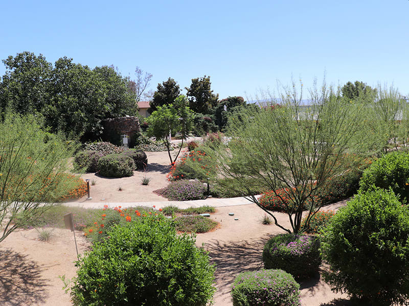 Sun City Gardens