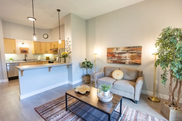 A modern living room with an open kitchen, featuring a comfortable sofa, coffee table, plants, and decorative artwork.