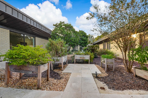 A serene garden pathway surrounded by lush plants and modern buildings.