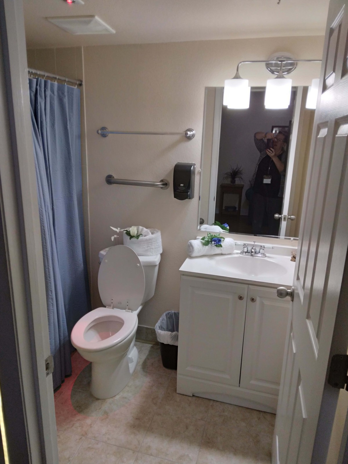 A small bathroom featuring a toilet, sink with mirror, shower curtain, and overhead lighting.