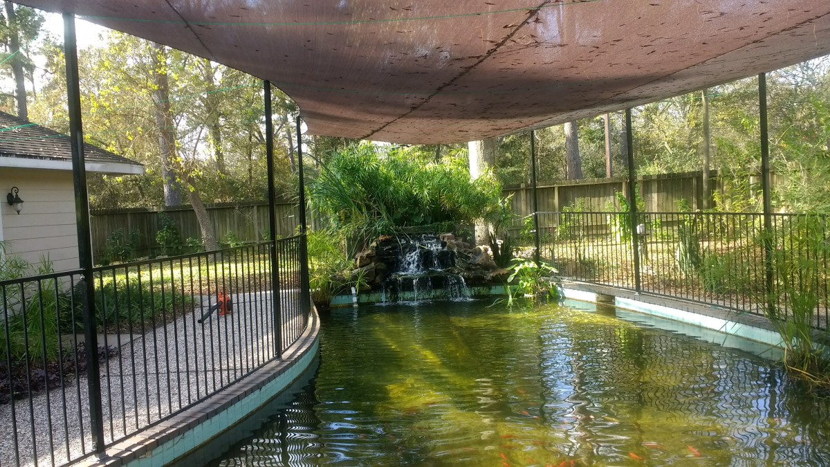 A tranquil indoor pond with lush greenery and a small waterfall, surrounded by a protective fence.