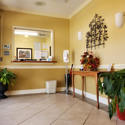 A welcoming reception area featuring a warm yellow wall color and decorative plants.