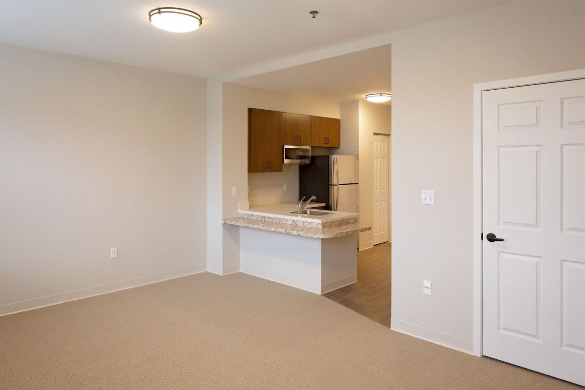 A minimalist apartment interior featuring an open plan kitchen and living area.
