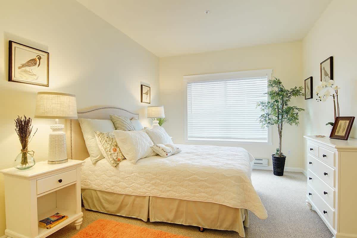 A bright and cozy bedroom with a large bed, soft lighting, and a potted plant by the window.