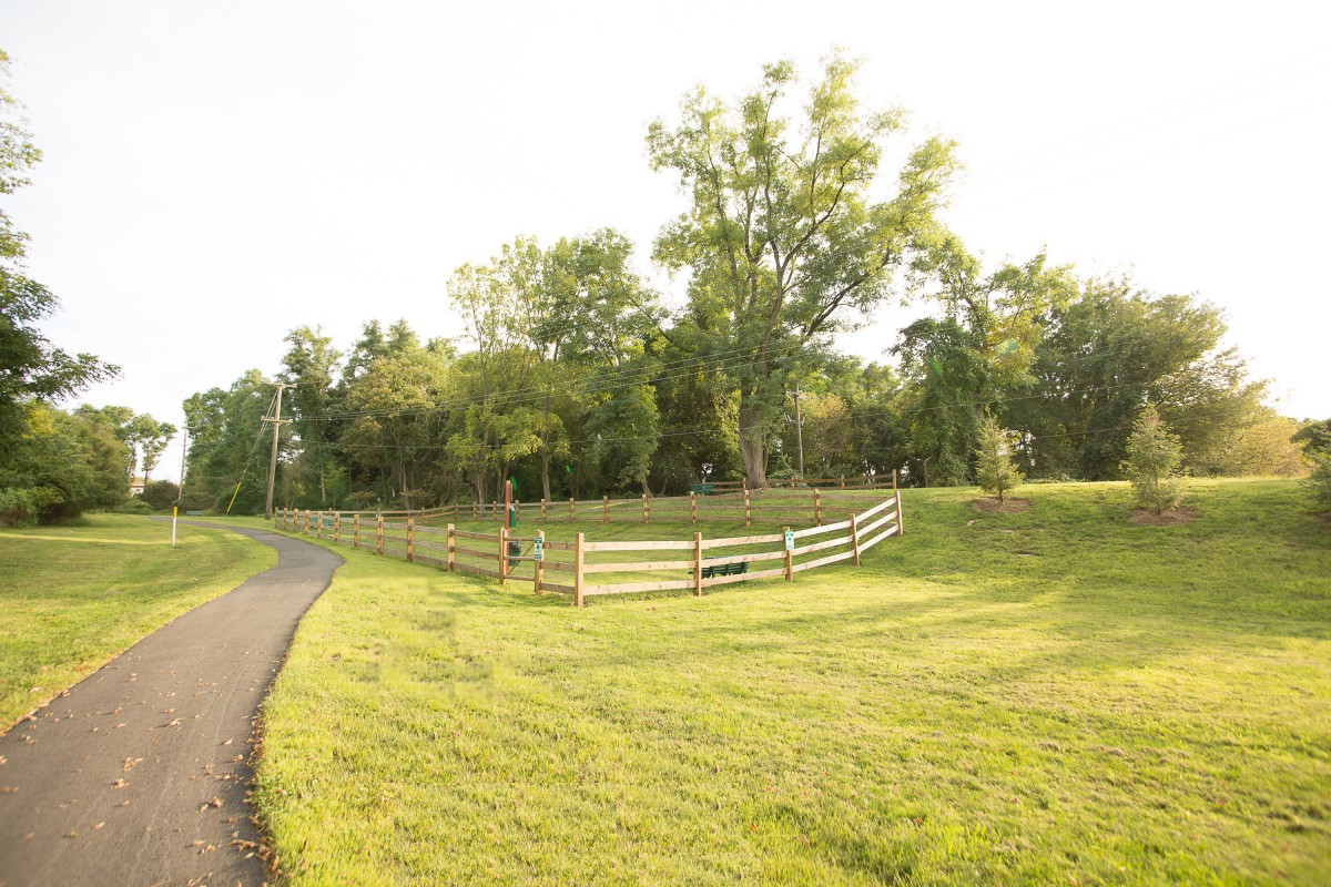 A serene outdoor scene with a wooden fence, lush green grass, a pathway, and tall trees under a clear sky.