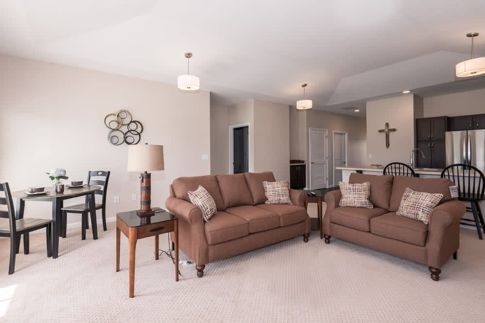 A modern living room with brown sofas and tasteful decor.