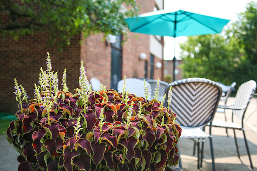 A serene outdoor space adorned with vibrant plants and inviting seating under a teal umbrella.