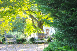 The Country Home