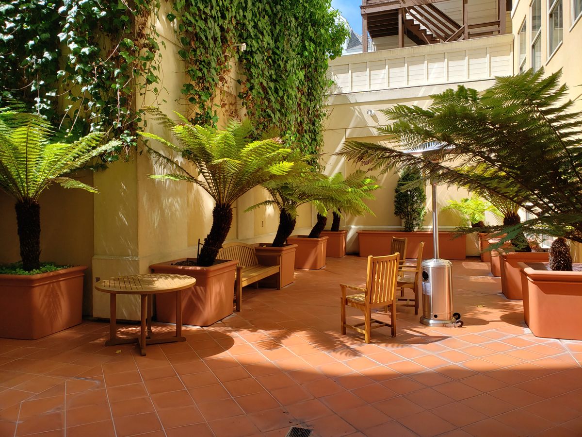 A serene outdoor patio area with tables, chairs, and lush ferns basking in sunlight.