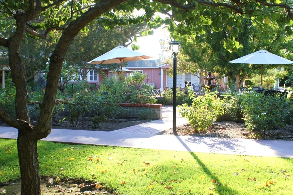 A peaceful garden with a pathway surrounded by trees and sunlight filtering through, casting shadows on the ground.