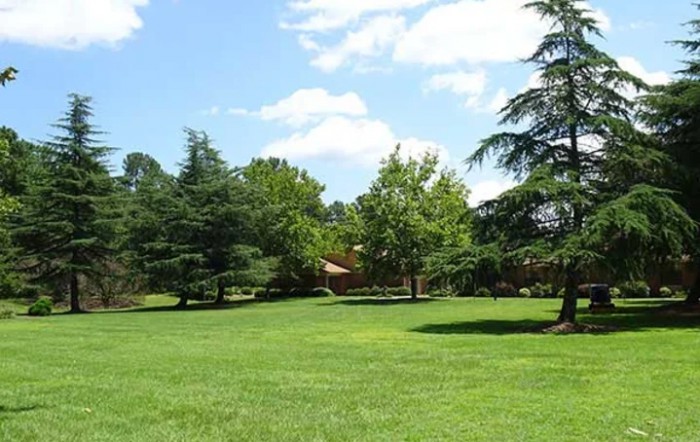 A scenic view of a lush green park with trees under a clear blue sky.