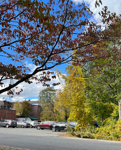 A vibrant scene capturing the beauty of autumn with colorful leaves against a clear blue sky.
