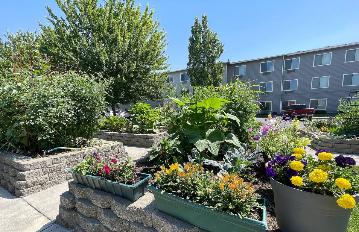 Wheatland Village