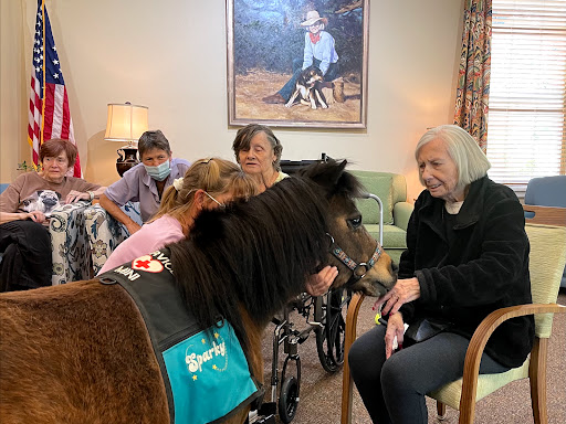 Residents at an assisted living facility enjoy a visit from a therapy miniature horse, fostering joy and connection.