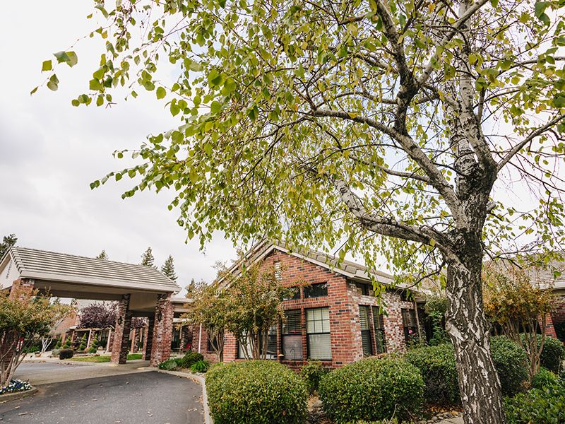 A brick building surrounded by lush trees and shrubs.