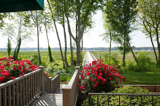 A serene view of a garden path lined with vibrant flowers leading into a lush landscape.