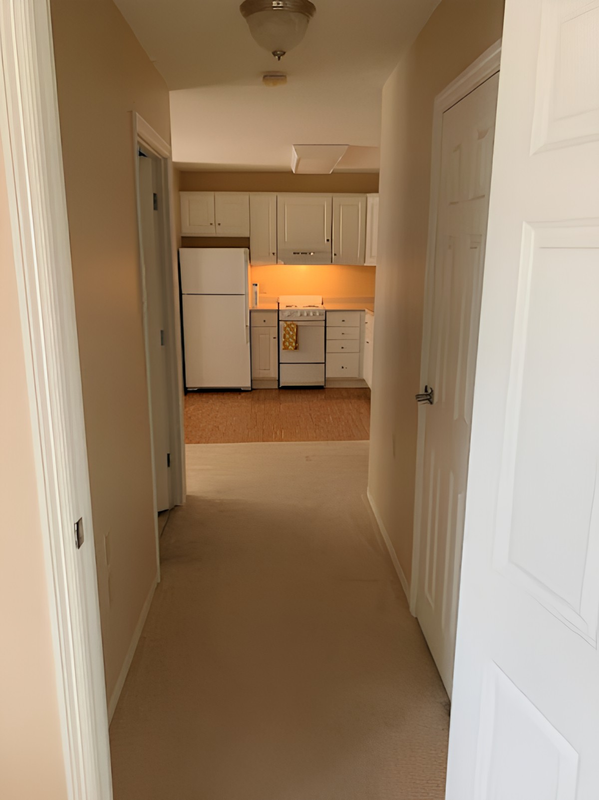 A view down a hallway leading to a kitchen in an apartment.