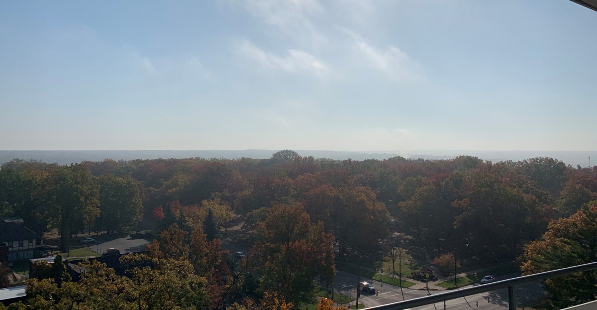 Park Vista