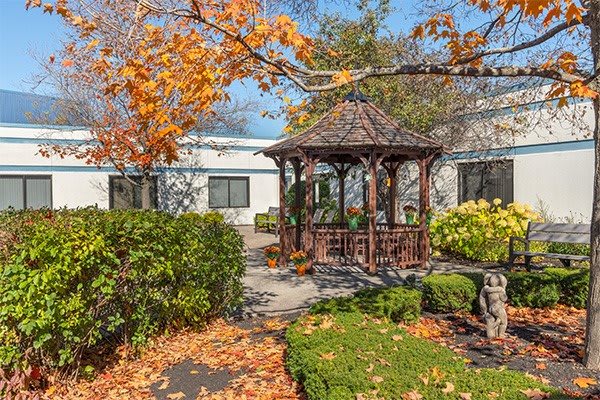 A serene garden with a wooden gazebo surrounded by colorful autumn foliage.