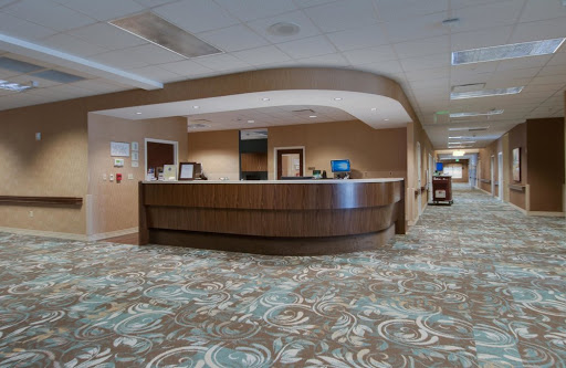 A modern reception area with a curved desk and decorative carpet.