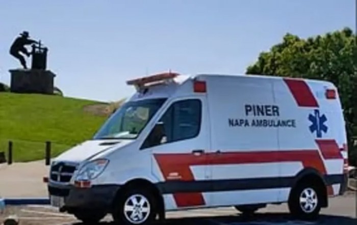 Piner's Guest Home