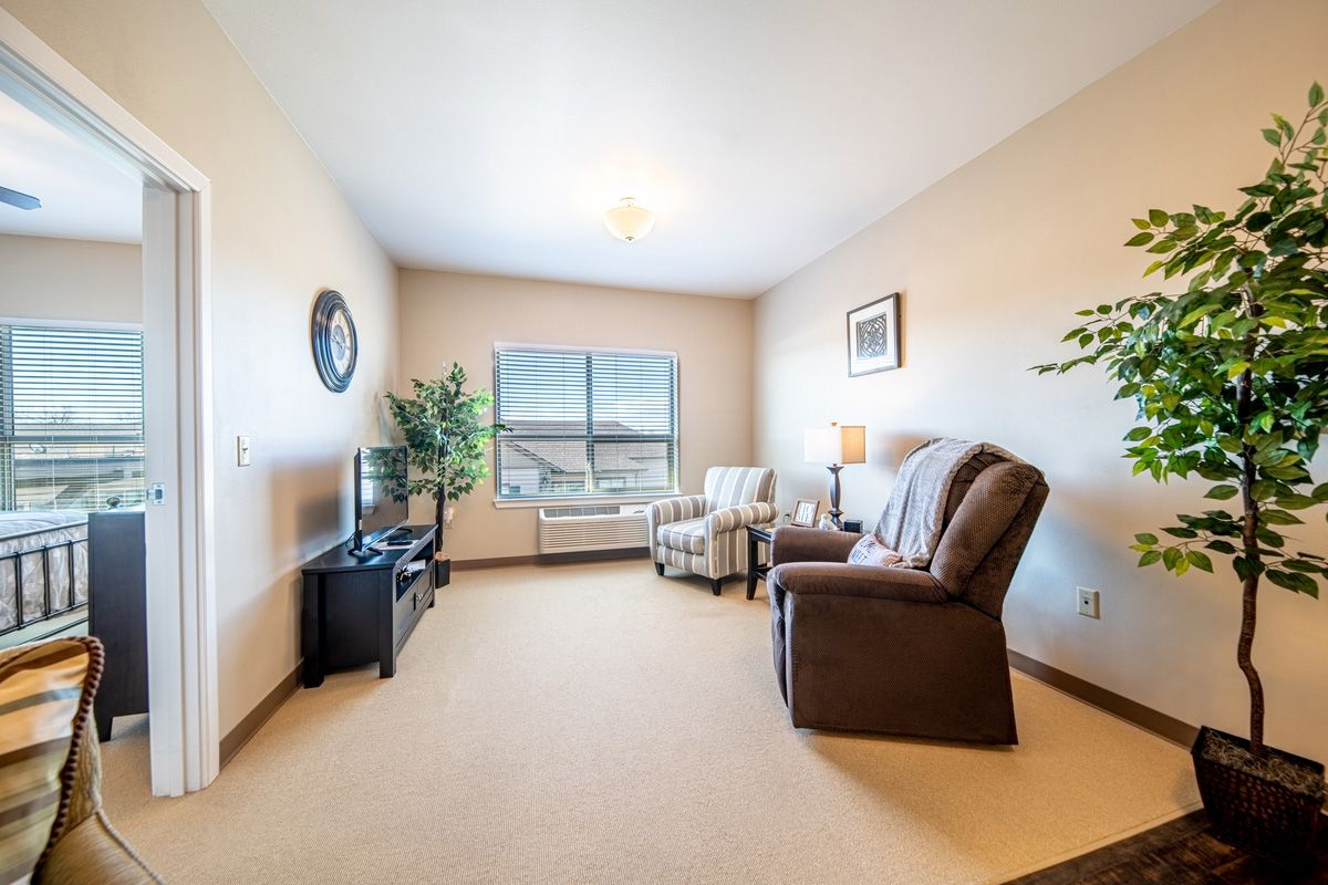A cozy living room with armchairs, a television, and a large window allowing natural light to brighten the space.