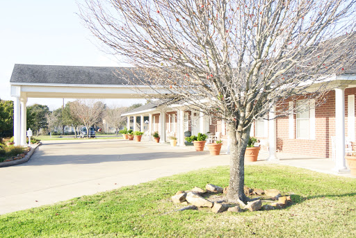 A serene view of a bare tree in front of quaint buildings, highlighting the tranquility of a rural setting.