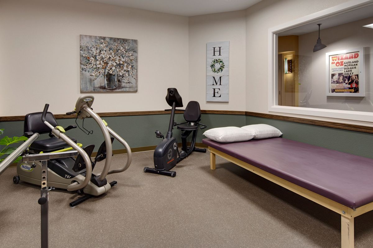 A cozy home exercise room featuring a stationary and recumbent bike next to a therapy bed.
