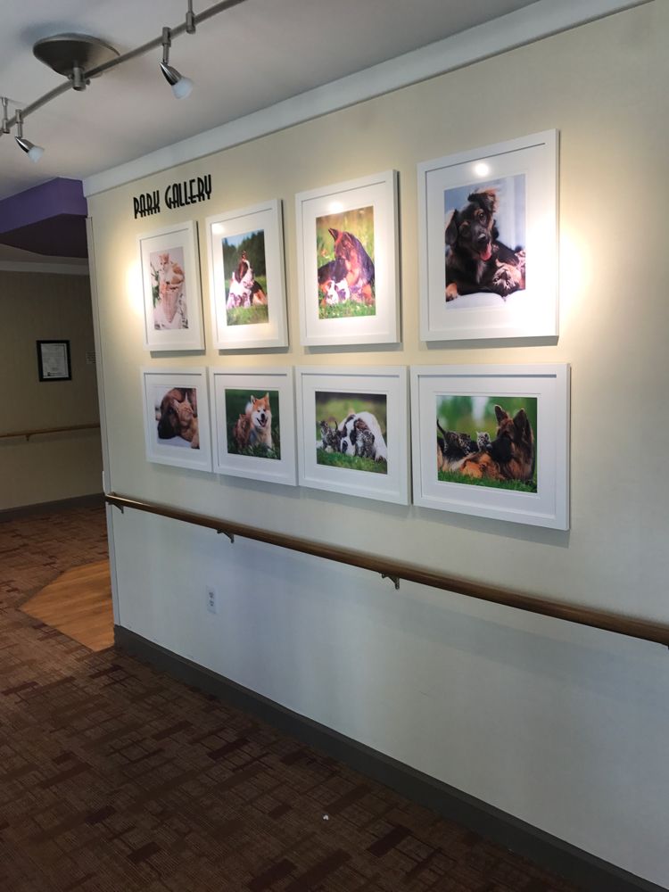 A hallway in a nursing home featuring an art display of framed photographs on the wall.