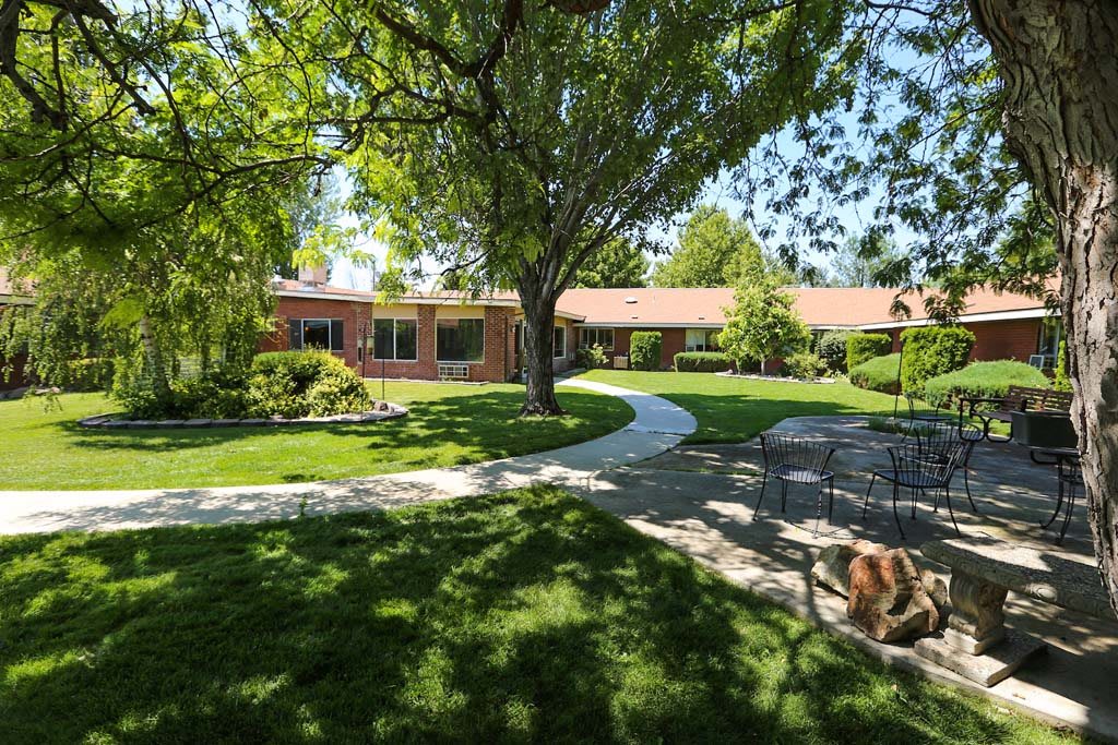 A sunny garden with a winding pathway and lush greenery surrounding a cozy house.