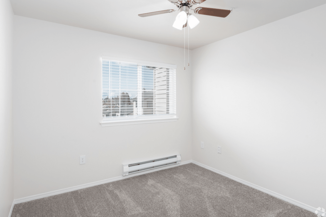 An empty room with white walls, a carpeted floor, and a ceiling fan, featuring a window with blinds.