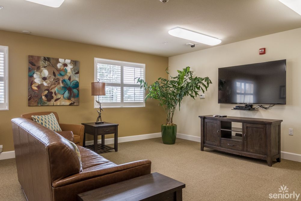 A cozy living room with a sofa, television, and indoor plant.