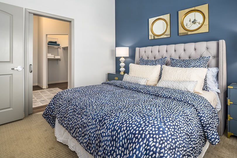 A stylish bedroom with a blue accent wall, featuring a bed with patterned bedding and a view into a walk-in closet.