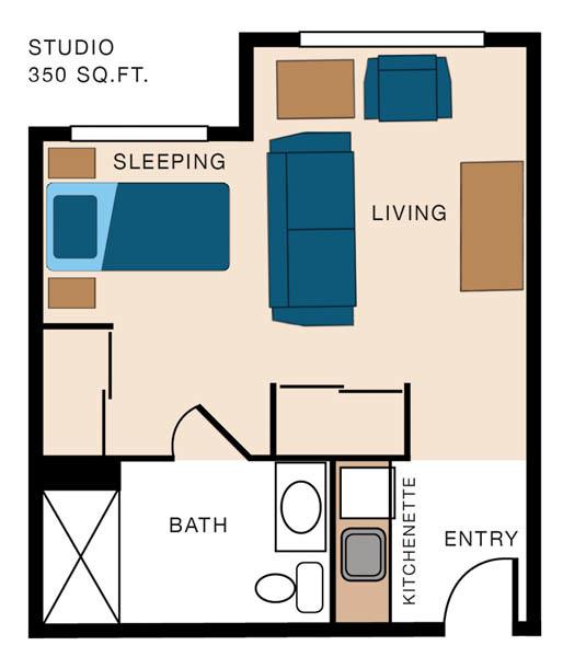 A floor plan of a 300 sq. ft. studio apartment featuring a living area, sleeping area, kitchenette, and bathroom.