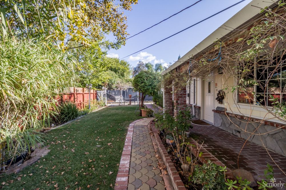 A sunny backyard with a brick pathway, green lawn, and various trees and plants.
