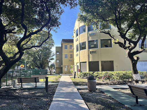 A sunny day view of a modern building surrounded by greenery, featuring a clear pathway amidst the trees.