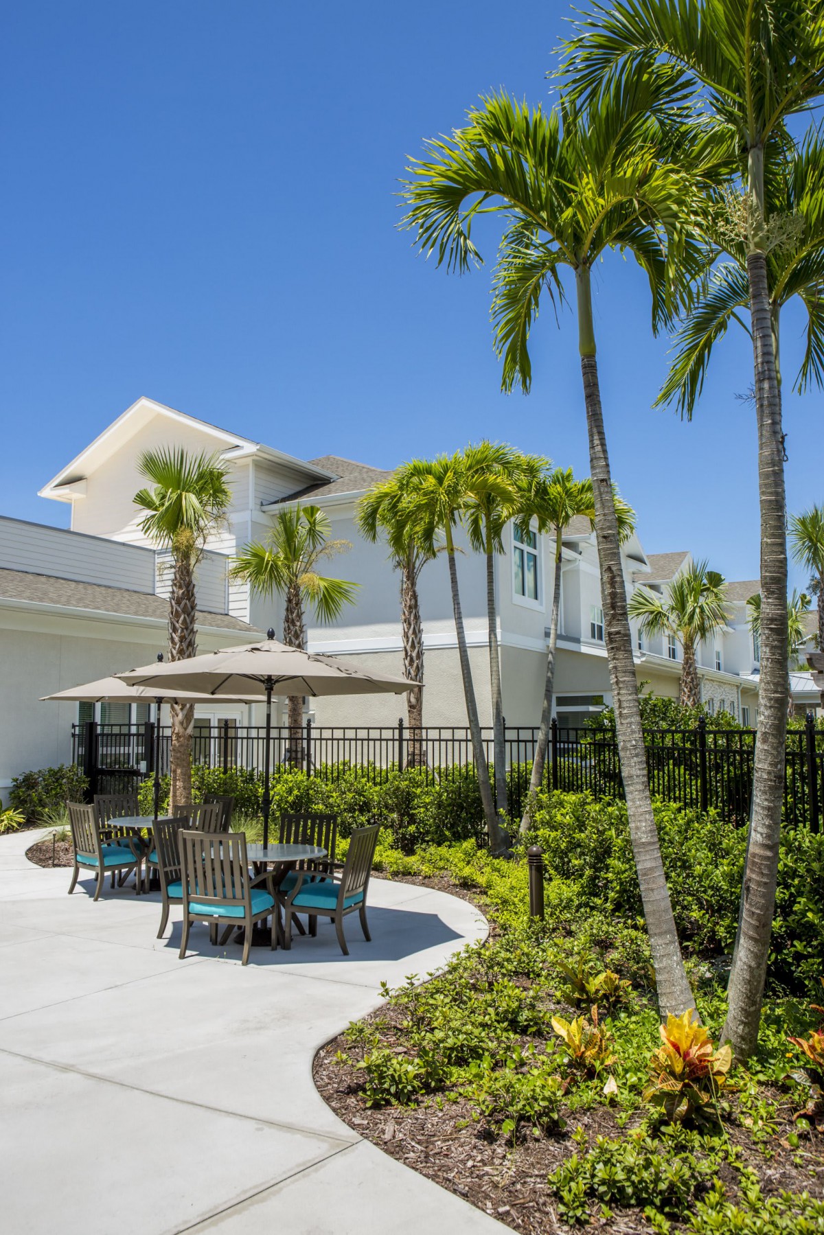 A sunny outdoor patio area with palm trees and poolside seating.