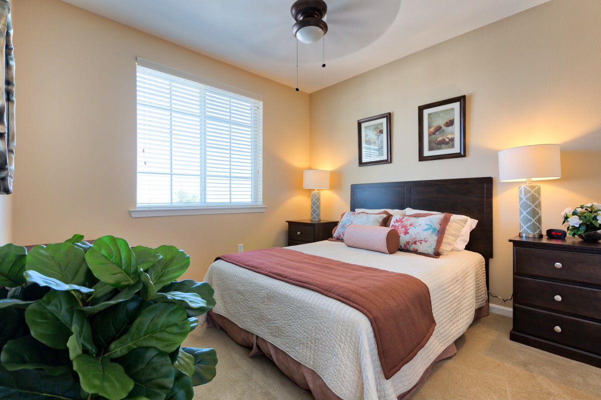A cozy bedroom featuring a neatly made bed with colorful pillows, decorated with artwork and illuminated by a lamp next to a window.