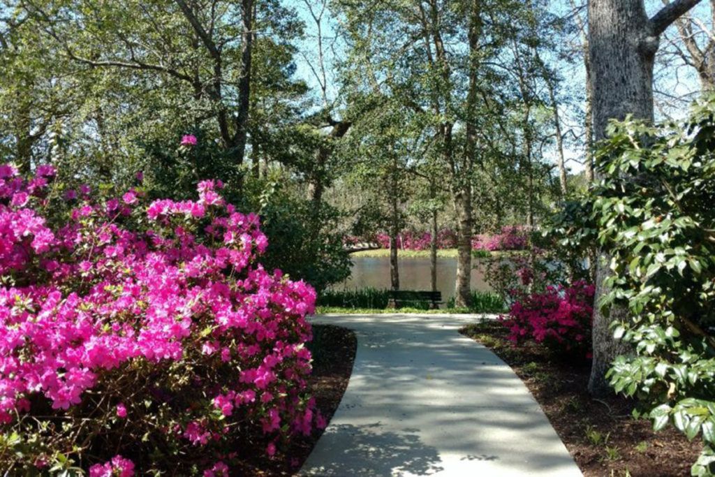 A serene garden path lined with vibrant pink flowers and lush greenery.