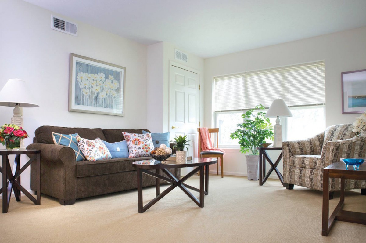 A cozy living room with a sofa, armchair, and coffee table accented by decorative cushions and an indoor plant.