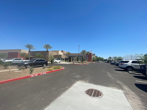 A sunny day at a commercial parking lot with palm trees and various parked cars.