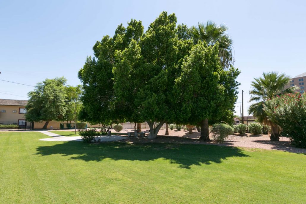 Rose Court Senior Living