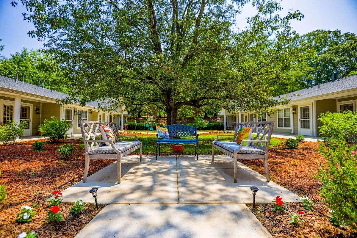 A serene garden setting with benches under a large tree and a landscaped pathway.