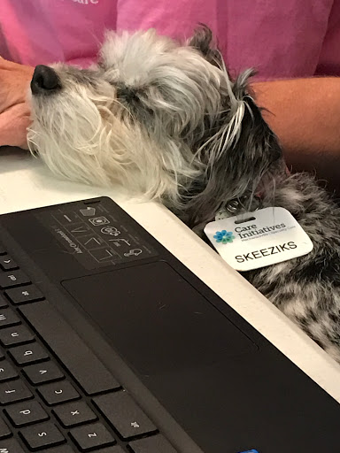 A cute dog resting its head on a desk next to a laptop.